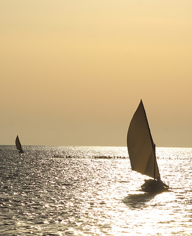AdobeStock_1111199418.jpeg