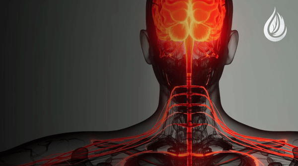 Cranio Brachial Release.gif