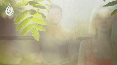 Meridian Showering.gif