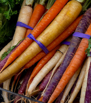 Rainbow Carrot Bunch