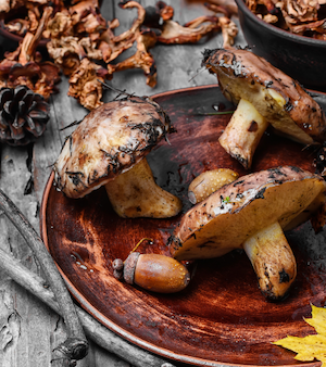 Chestnut Mushrooms from Chesed Farms