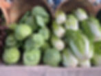 Cabbages ready for CSA boxes