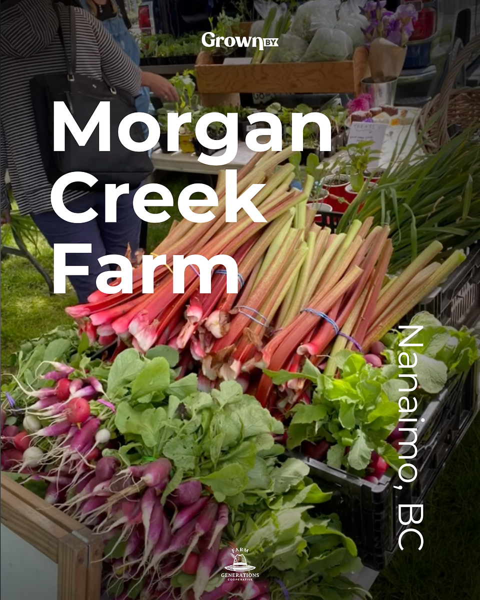 Morgan Creek Farm in Nanaimo, BC