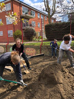 Trinity_digging.jpeg