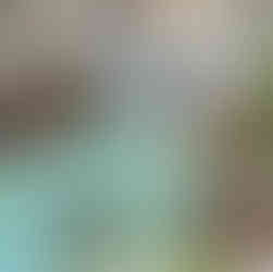 Dzieci w sali lekcyjnej, przy dużym stole, lukrujące świąteczne ciasteczka