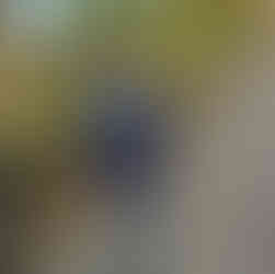 Uczeń z wiązanką kwiatów idzie alejką w Parku Cmentarnym