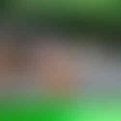 Wizualizacja ucznia stojącego na powierzchni Księżyca.