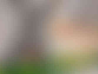 Dekoracja na ściennej tablicy - szary zajączek i kolorowe pisanki na trawie z papieru, nad nimi napis: Wielkanoc