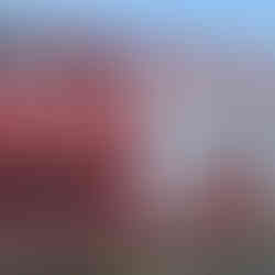 Model płuc do mierzenia jakości powietrza stojących na żorskim rynku