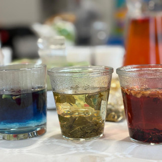 Szklanki wypełnione różnymi rodzajami herbaty.