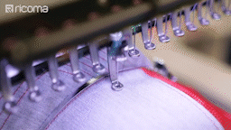 Embroidering_Small_Letters_On_Caps___Best_Threads___Needles___Ricoma_Embroidery_Machine__E