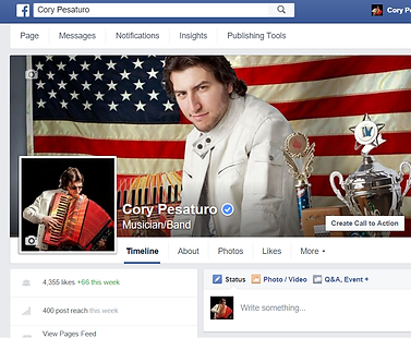 Verified Facebook Page.png