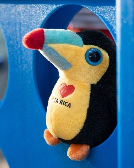 Miniatura: Peluche de tucán con pico de colores y etiqueta "Amo Costa Rica", asomándose por un agujero en una estructura azul.