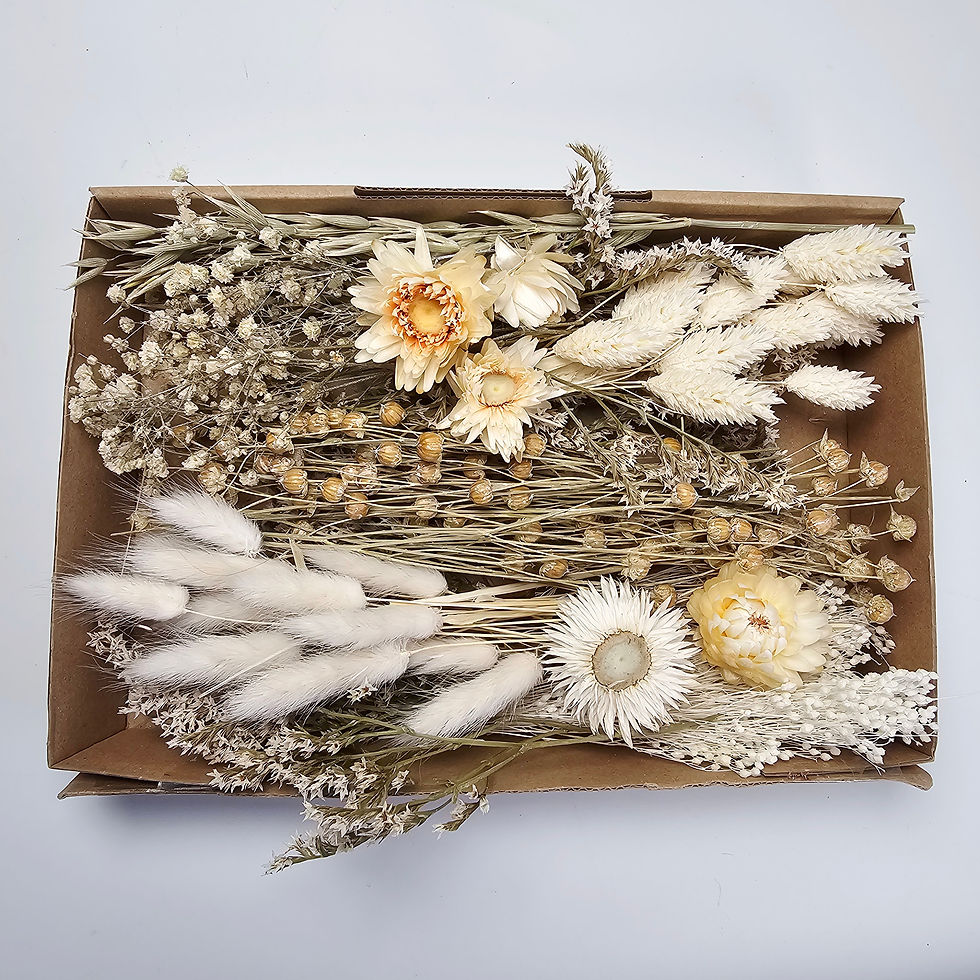 Miniaturbild: Die Blumenbox enthält eine Auswahl an 5-7 Sorten Trockenblumen in den Farbtönen grün, weiß, creme und beige.