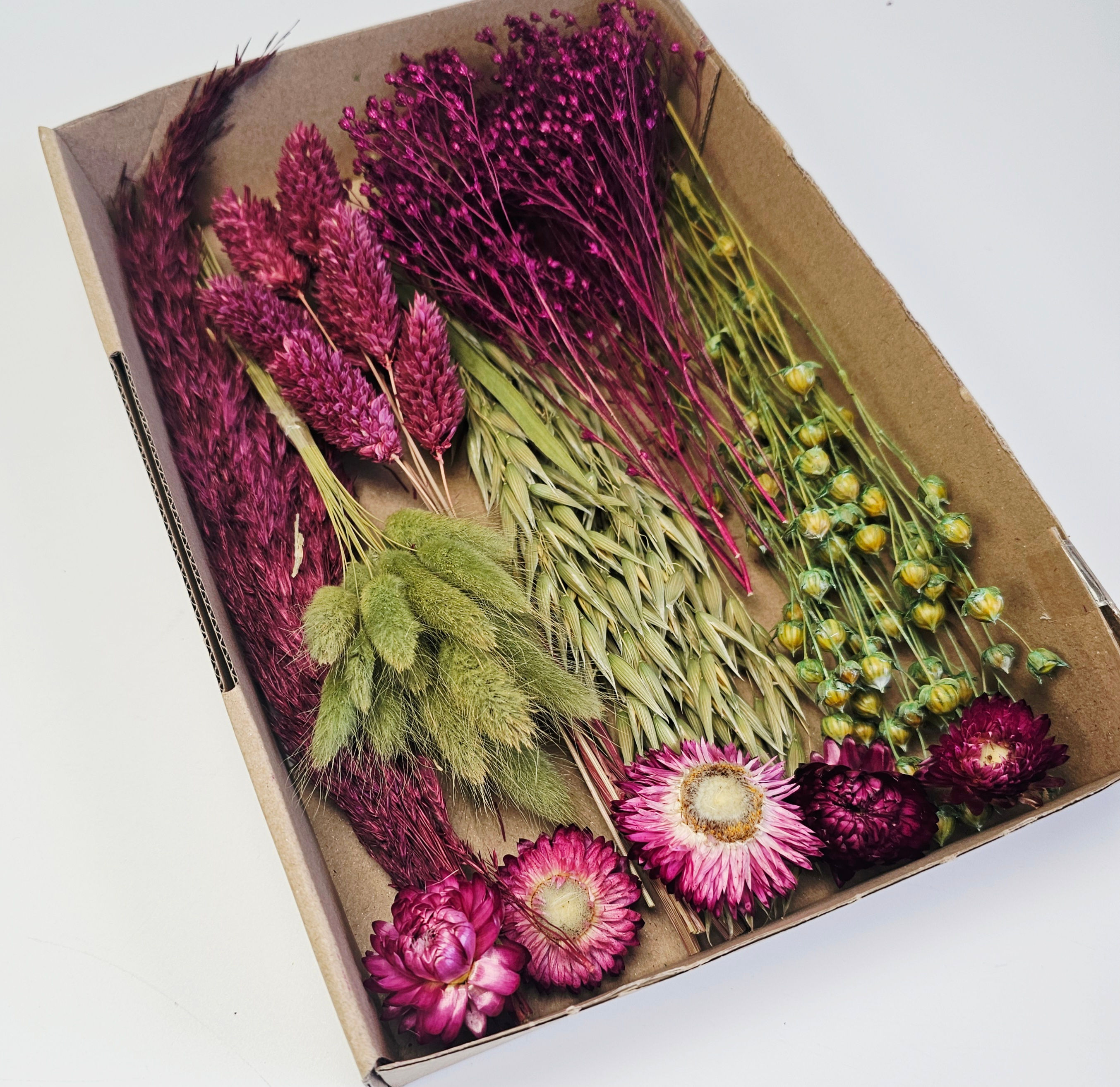 Die Blumenbox enthält eine Auswahl an 5-7 Sorten Trockenblumen in den Farbtönen grün und weinrot, aubergine