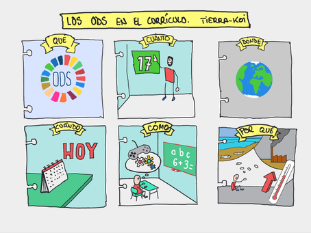 Biblioteca visual. Comienzos