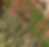 Snapchat-1882992461_edited.png