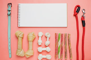 set-dog-snacks-notebook-accessories.jpg