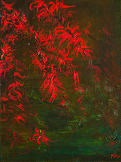 "Momiji" Japanese Maple