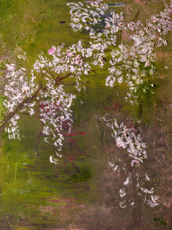 Japanese Cherryblossom ( yoshino sakura)