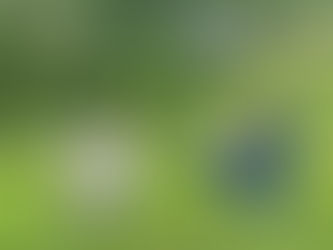 Psychosis Care and Connection Retreat 2025: A Tapestry of Insight, Humanity, and Hope