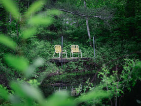 A pair of yellow lawn chairs next to a pond, surrounded by green trees.