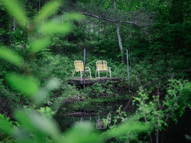 A pair of yellow lawn chairs next to a pond, surrounded by green trees.
