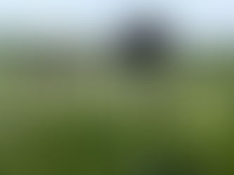 Farm implement sculptures on the campus of the Ignatius Jesuit Centre in Guelph, Ontario.