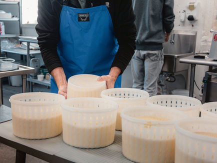A cheesemaker wearing a blue apron in the Gould Farm creamery flipping cheese molds.