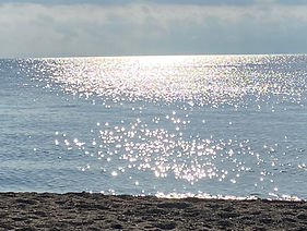 IMG_7710.JPG