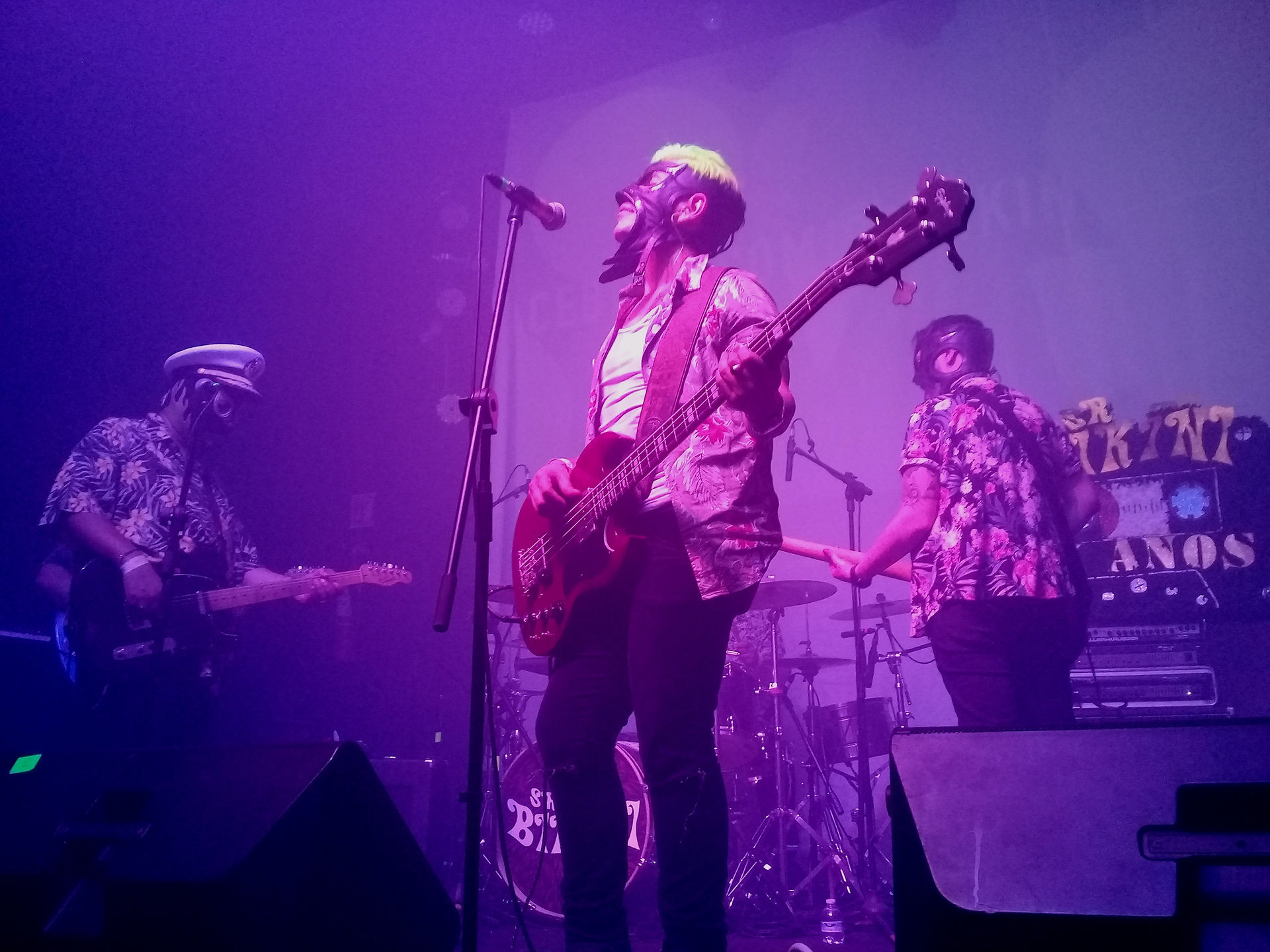 Sr. Bikini - Foro Indie Rocks!