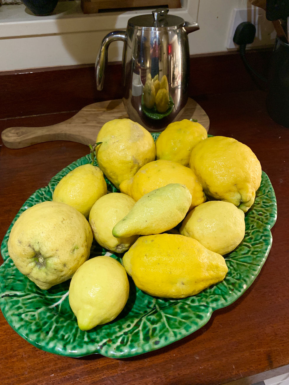 Lemons from Mijas preserved london restaurant hotel
