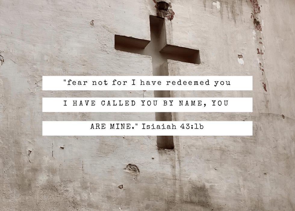 Miniatura: Targetes de vers de memòria d'identitat