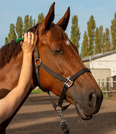 massage met moorstempel