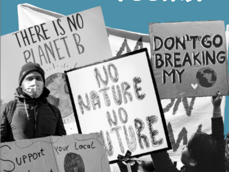 A Movement Building Toolkit