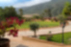 Grass Courtyard