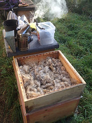 Honig, Imkerei, Bienen, Bad Schwalbach, Wiesbaden