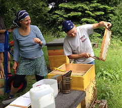 Honig, Bienen, Imkerei, Bad Schwalbach, Wiesbaden