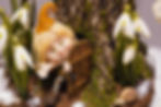 S__33341447.jpg