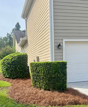 Celebration Detailing Service