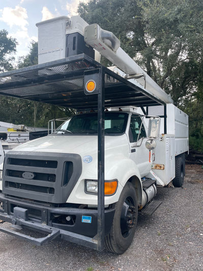 Tree Services