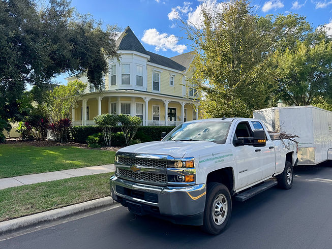 Infinity Landscape Solutions Celebration Lawn service.jpeg