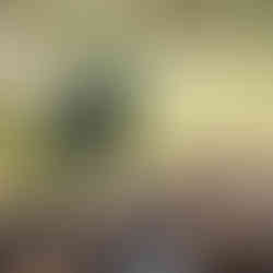 Colleagues take turns chopping wood in the mountains near Lake Tahoe at the Lumberjack Challenge.