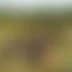 Teams work to solve puzzles during an immersive old west corporate retreat.