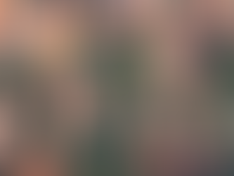 Colectiva Ruta 216 por fin ha llegado 