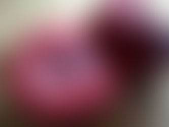 Cut Pendragon apple revealing rich crimson flesh and translucent marbling around the core, with seeds exposed and whole apple behind on wood.