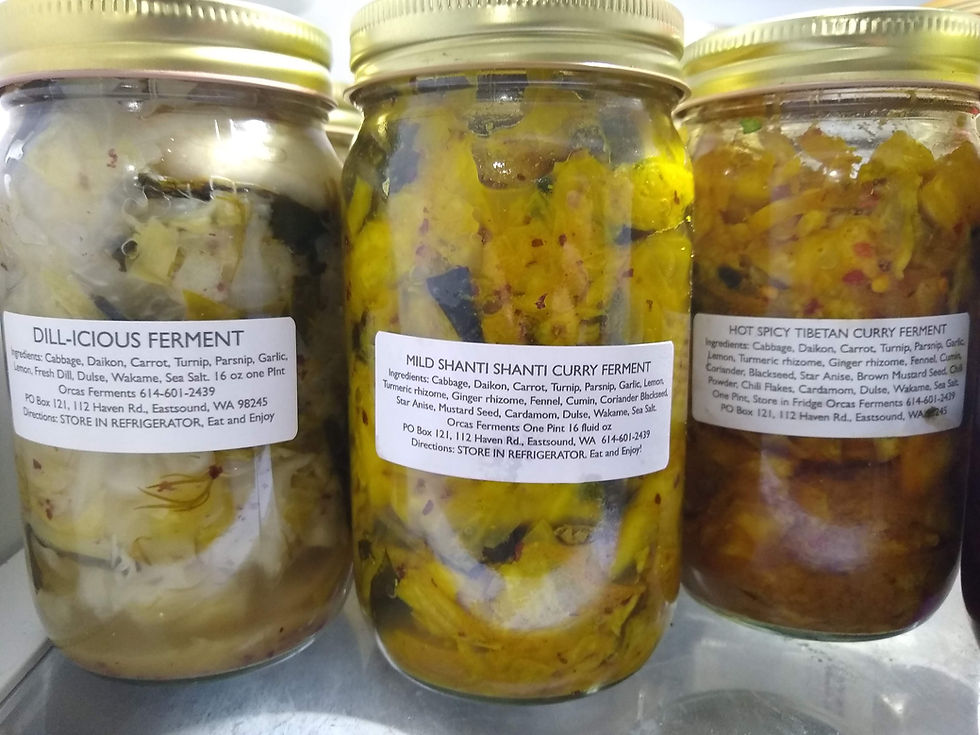 Jars of locally fermented vegetables—cabbage, daikon, carrots, turnips, and spices—prepared on Orcas Island for long-term winter storage.