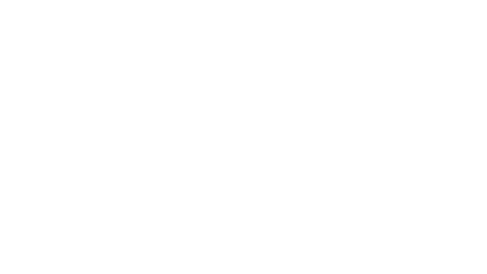 White Logo Transparent.gif