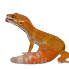 02_edited.png