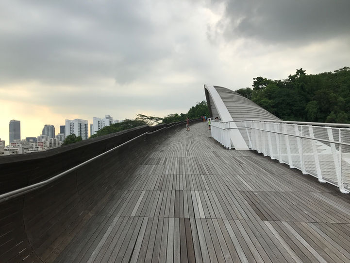Henderson Waves Bridge, Singapore